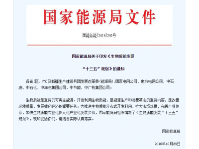 2020年，國家對新能源的扶持力度只增不減，4.2億專項(xiàng)資金預(yù)算已下達(dá)